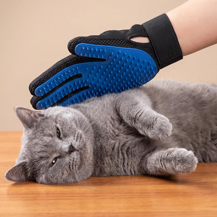 Deshedding Gloves